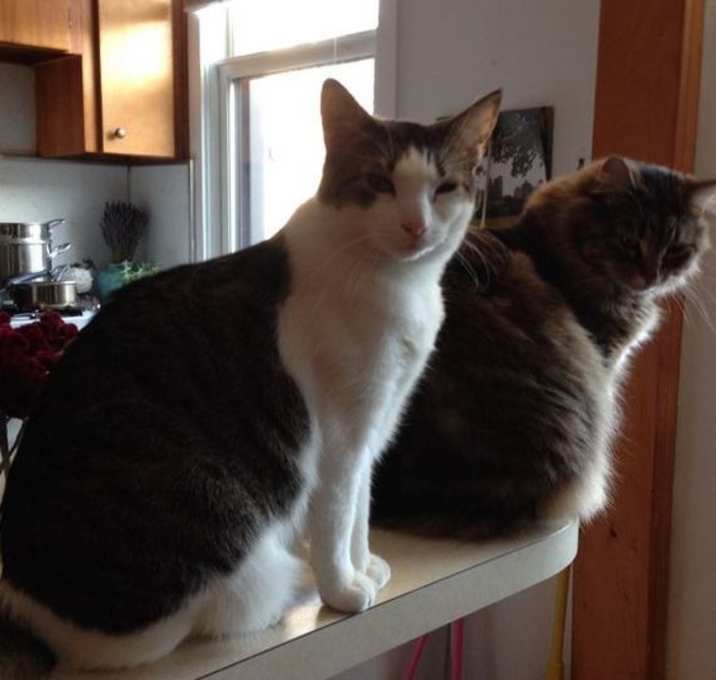 Photo of "Marker" the Sweetheart