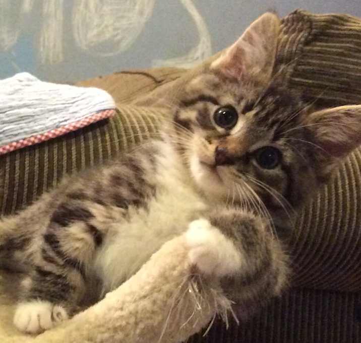 Photo of Minnie