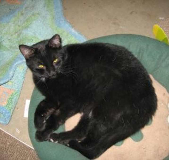 Photo of Newbie