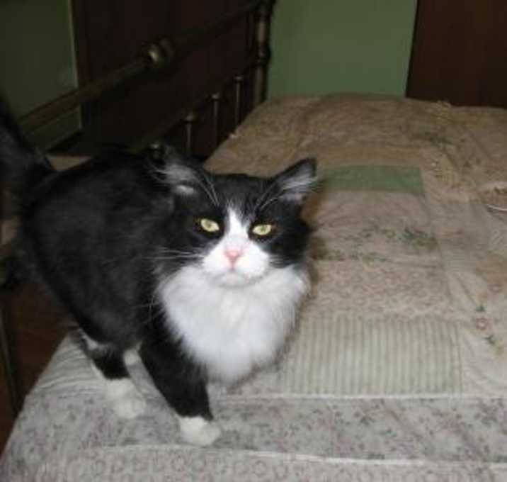 Photo of Lucky