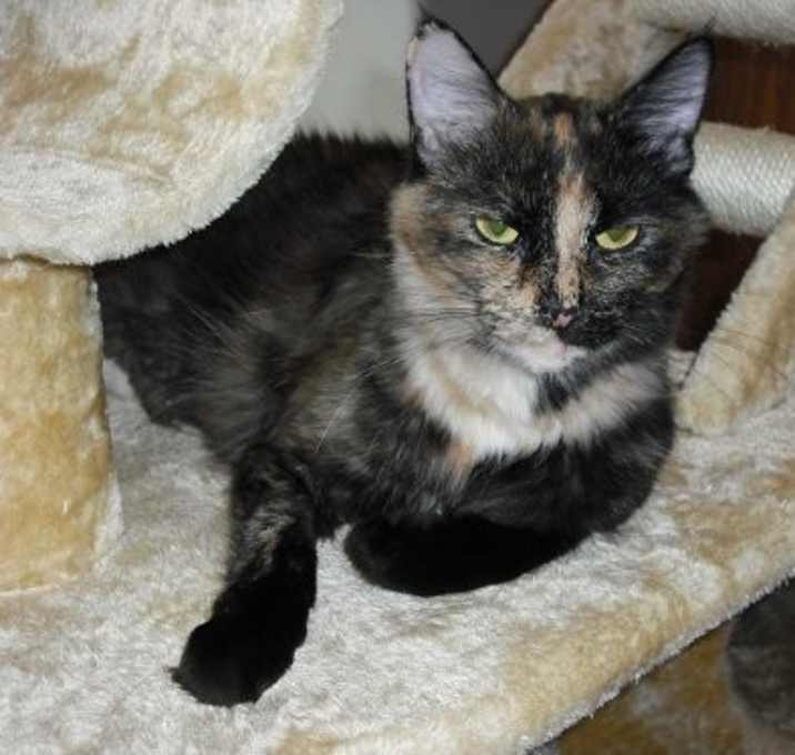 Photo of Georgie Girl