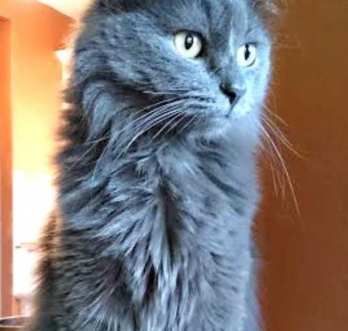 Photo of Leah