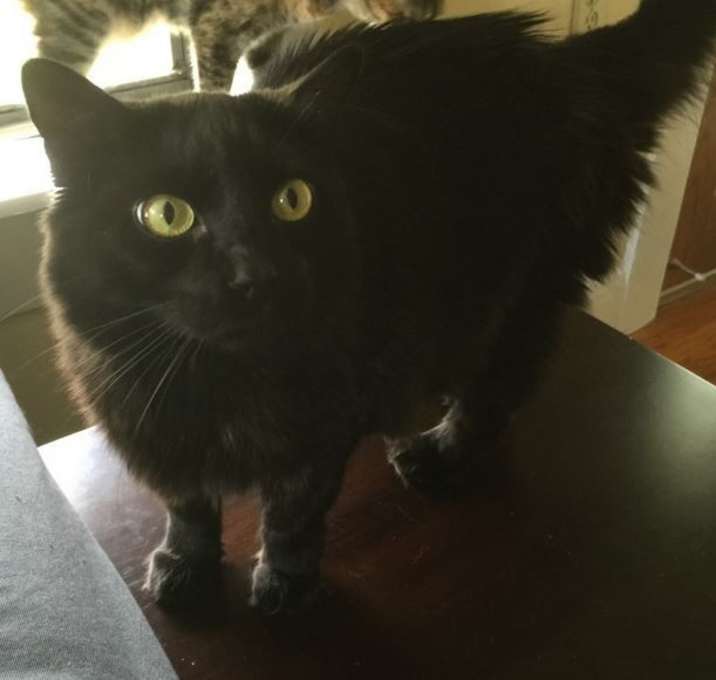 Photo of Walter