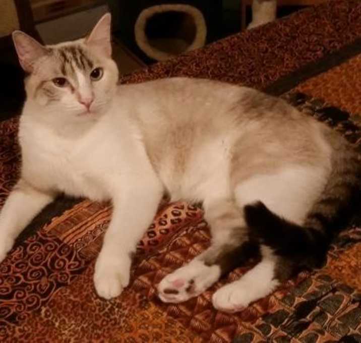 Photo of Lily