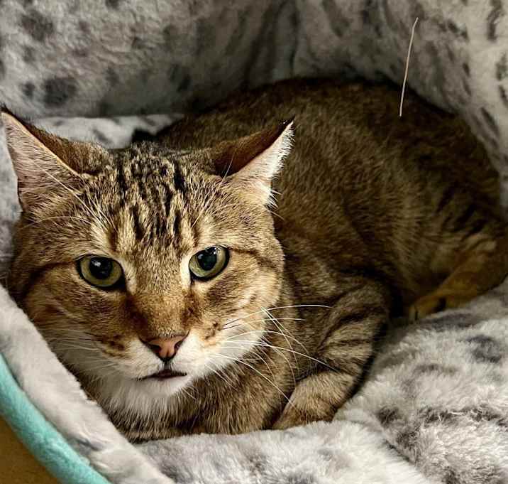 Photo of Selene