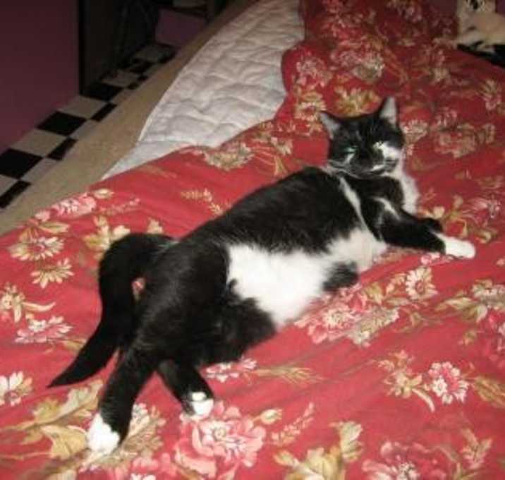 Photo of Sunny