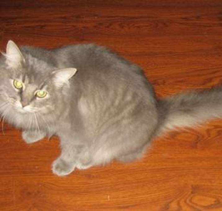 Photo of Jack