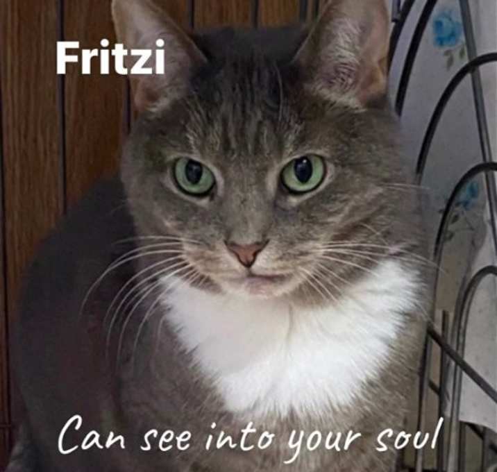 Photo of Fritzi