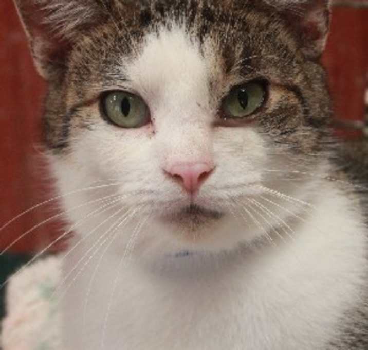 Photo of Harold