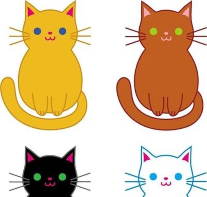 Photo of Female Kittens