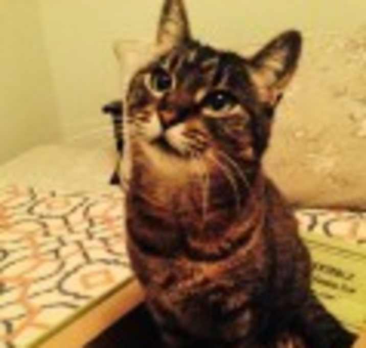 Photo of Abby