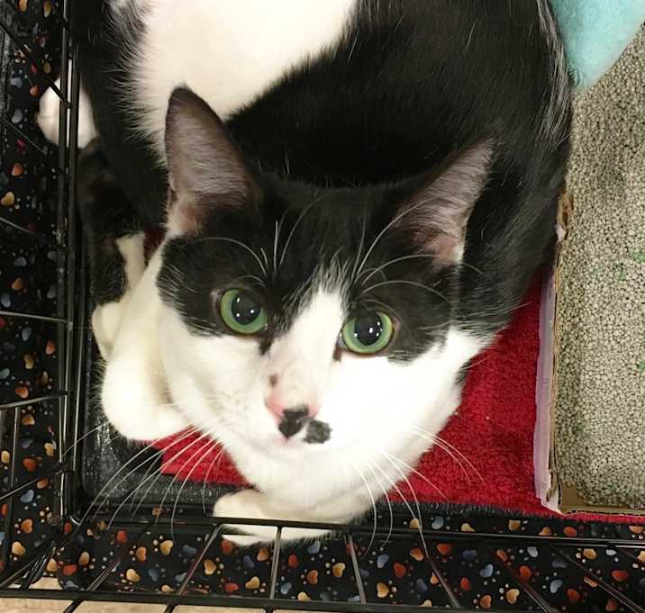 Photo of Sheena