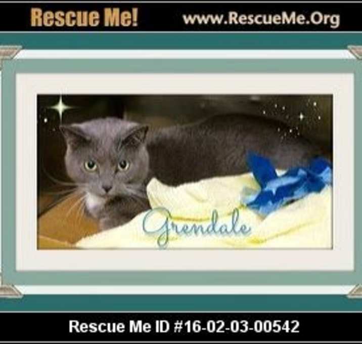 Photo of Grendale