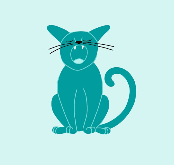 Photo of Olive