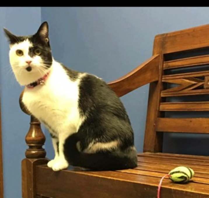 Photo of Lil Bit