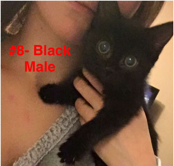 Photo of No Name