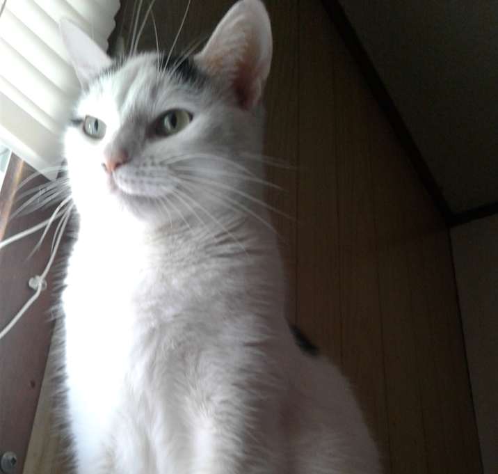 Photo of Sally