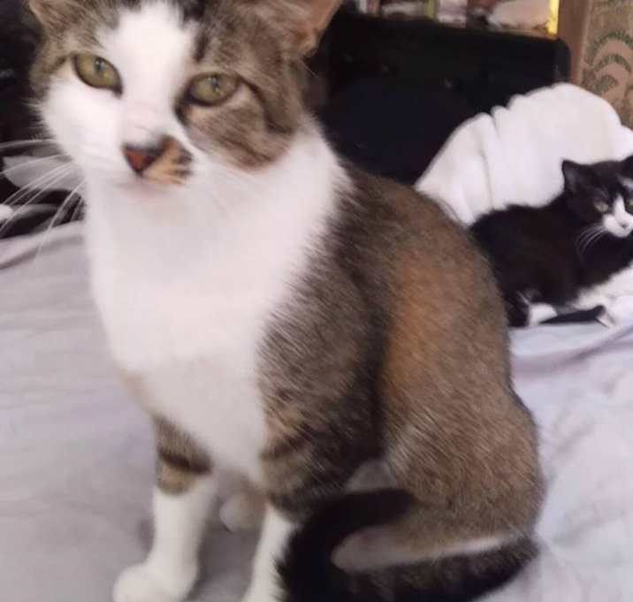 Photo of Momma