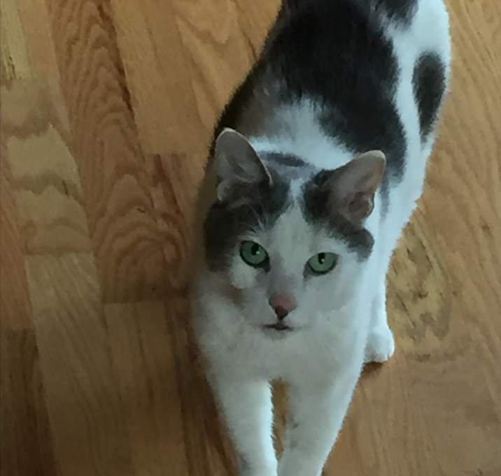 Photo of Rupert