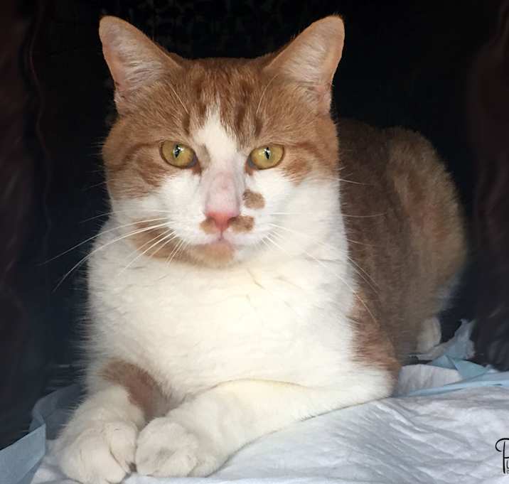 Photo of Cash