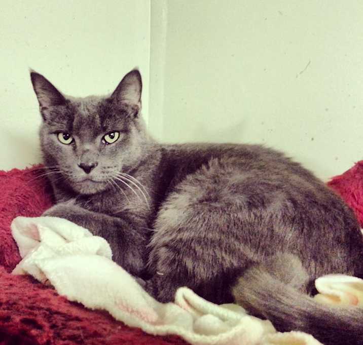 Photo of Ghost