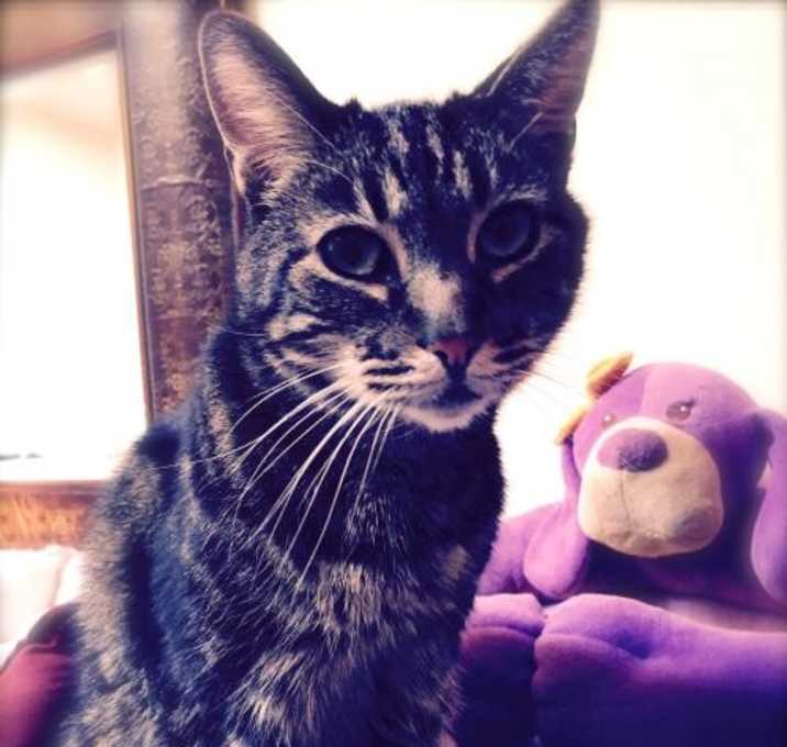 Photo of Spunky
