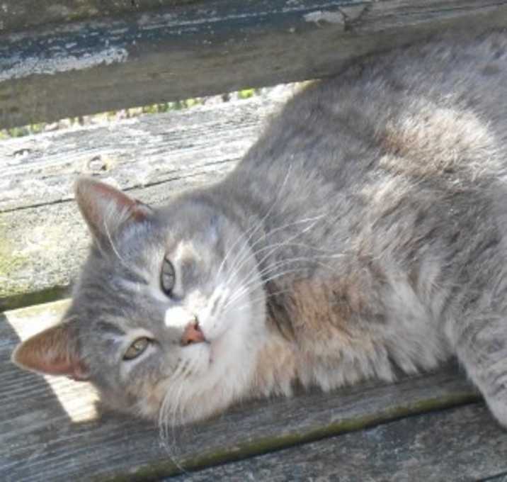 Photo of Traci