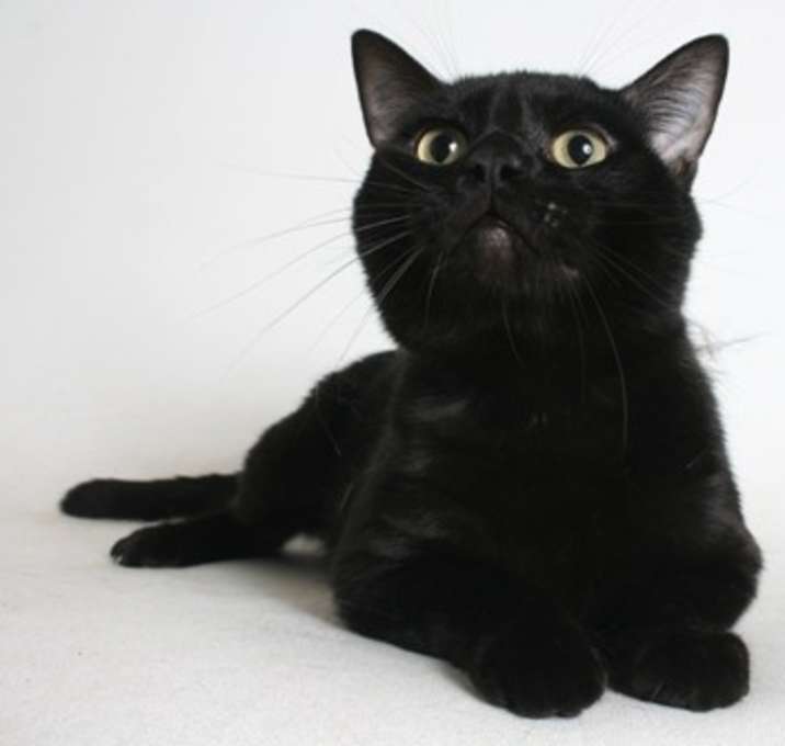 Photo of Moody