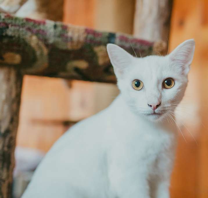 Photo of Jake