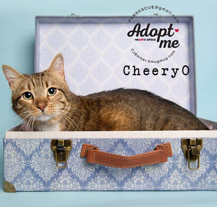 Photo of Cheery O