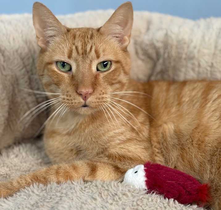 Photo of Farley