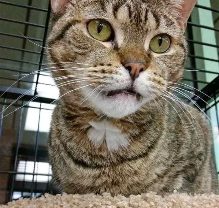 Photo of Jasmine