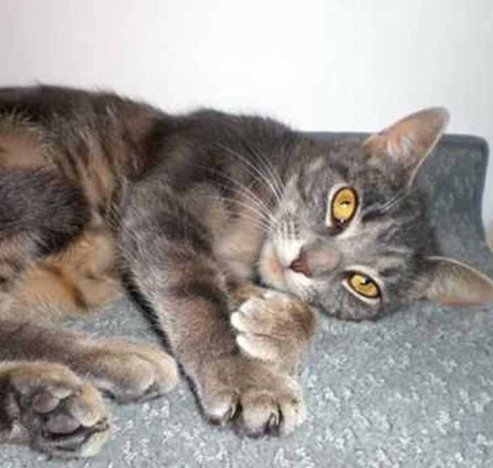 Photo of Baby Girl