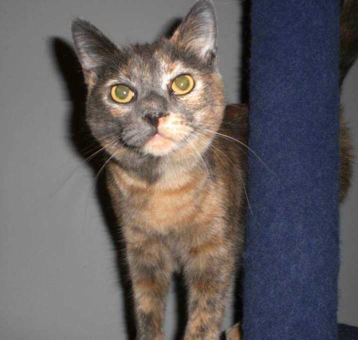 Photo of Molly