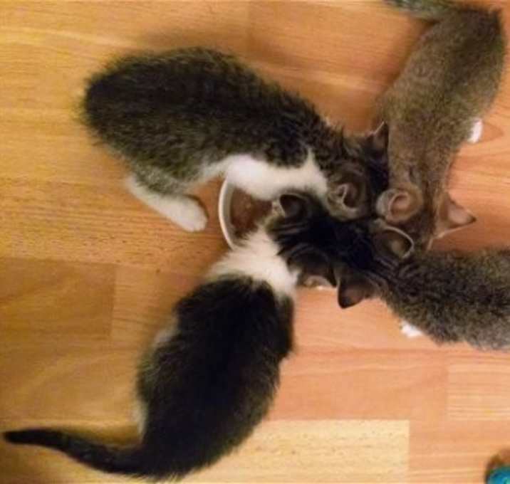 Photo of Foster Parents Needed