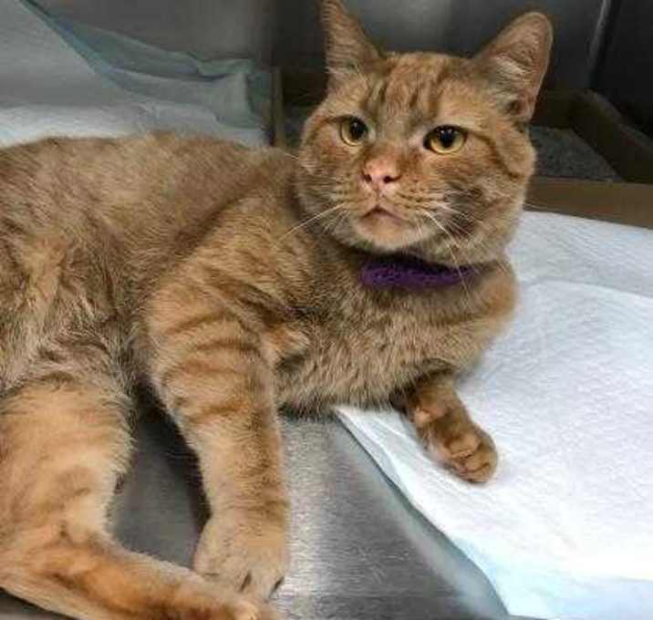 Photo of Oliver