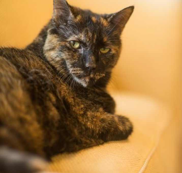 Photo of Birdie