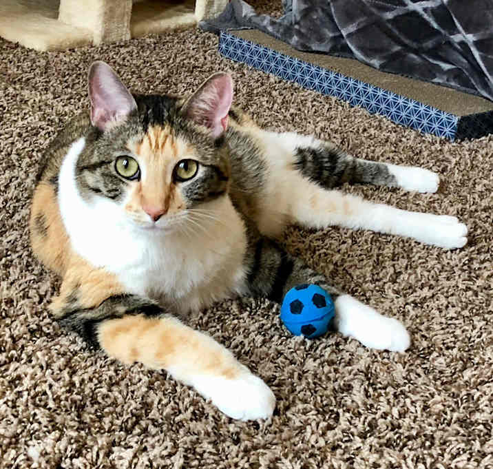 Photo of Minnie