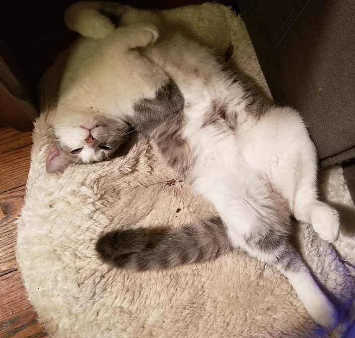 Photo of Grimm