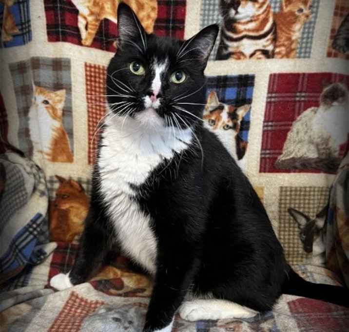 Photo of Bennie