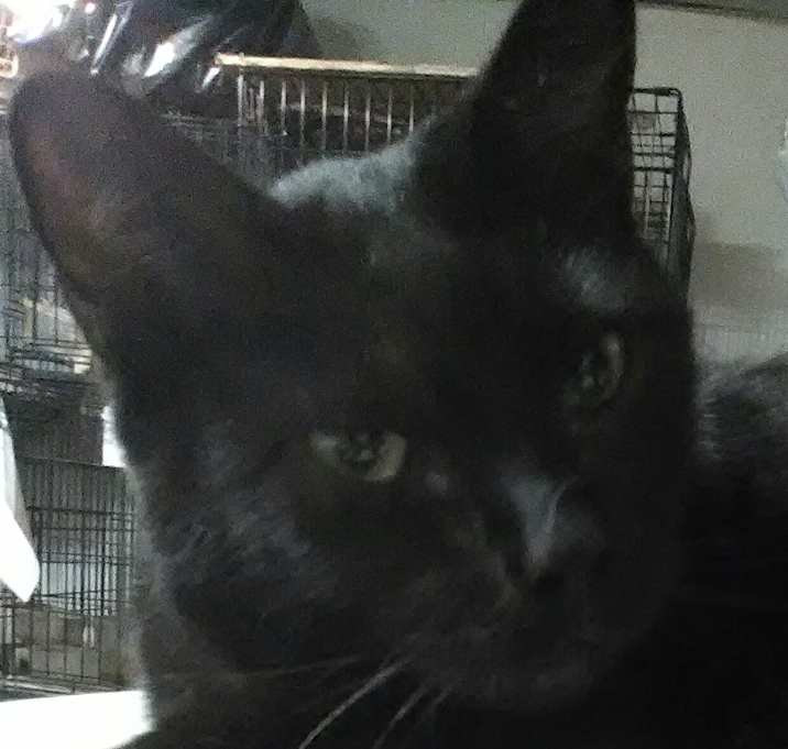 Photo of Sterling
