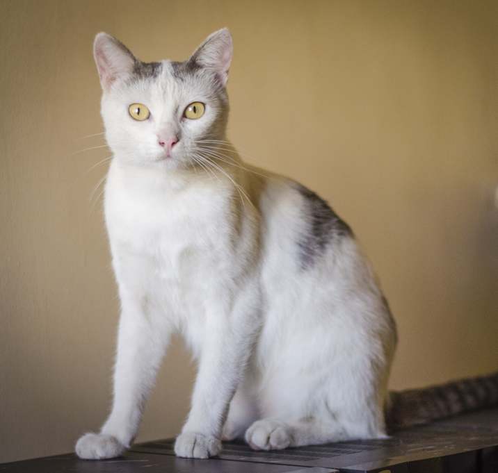 Photo of Michy