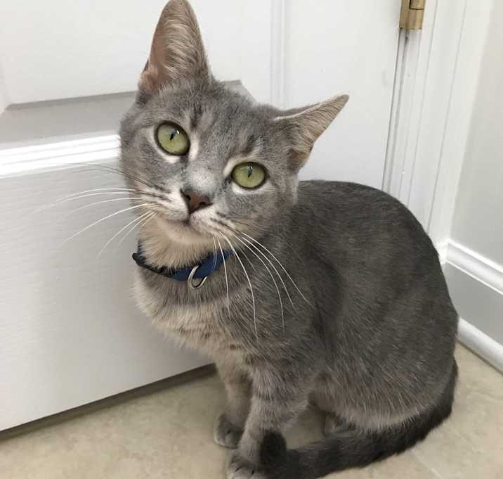 Photo of Lucy