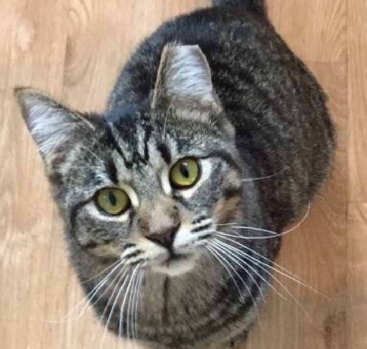 Photo of Smudge K.