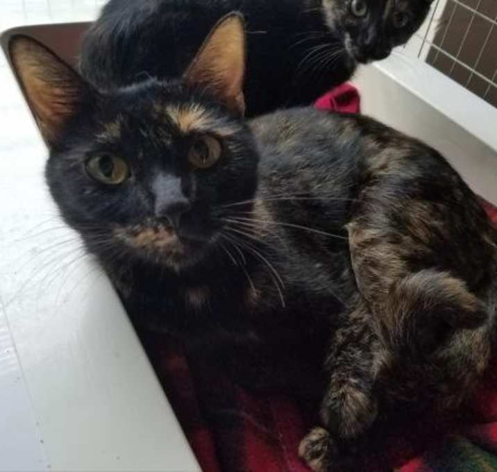 Photo of Mama Pasta