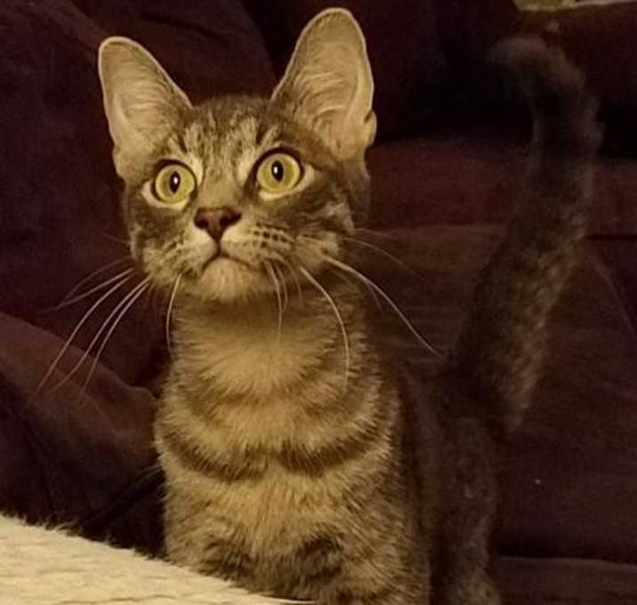 Photo of Edie