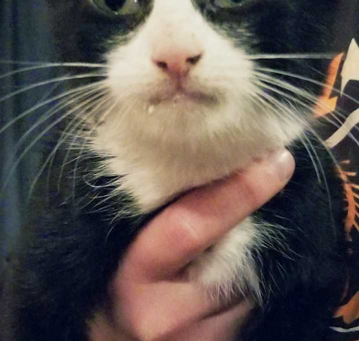 Photo of Athena