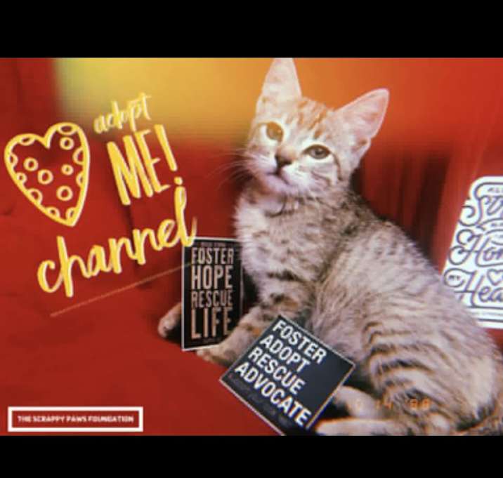 Photo of Channel