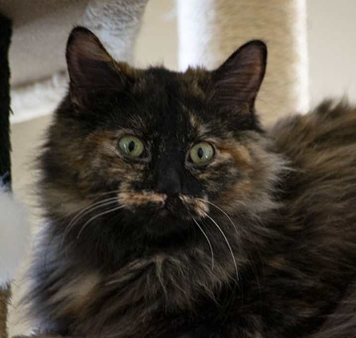 Photo of Charity