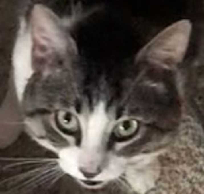 Photo of Sir
